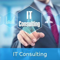 IT Consulting